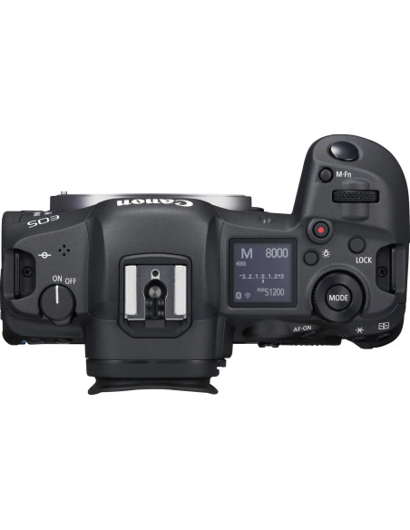 EOS R5 + RF 24-105mm f/4 L IS